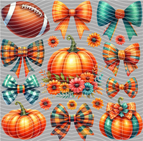 NBA and Team-QD 1462